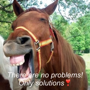 Episode 73: There are no problems! Only solutions❣️