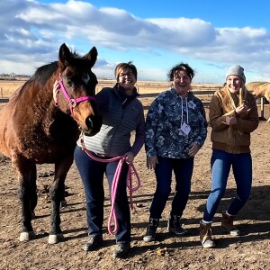 Episode 91: Equine Assisted Learning VS Equine Therapy
