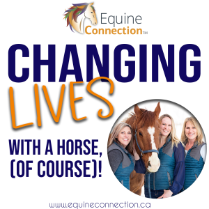 Welcome to Changing Lives With A Horse, (Of Course)!