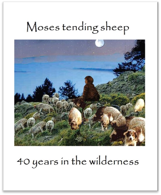 Shaping a Shepherd