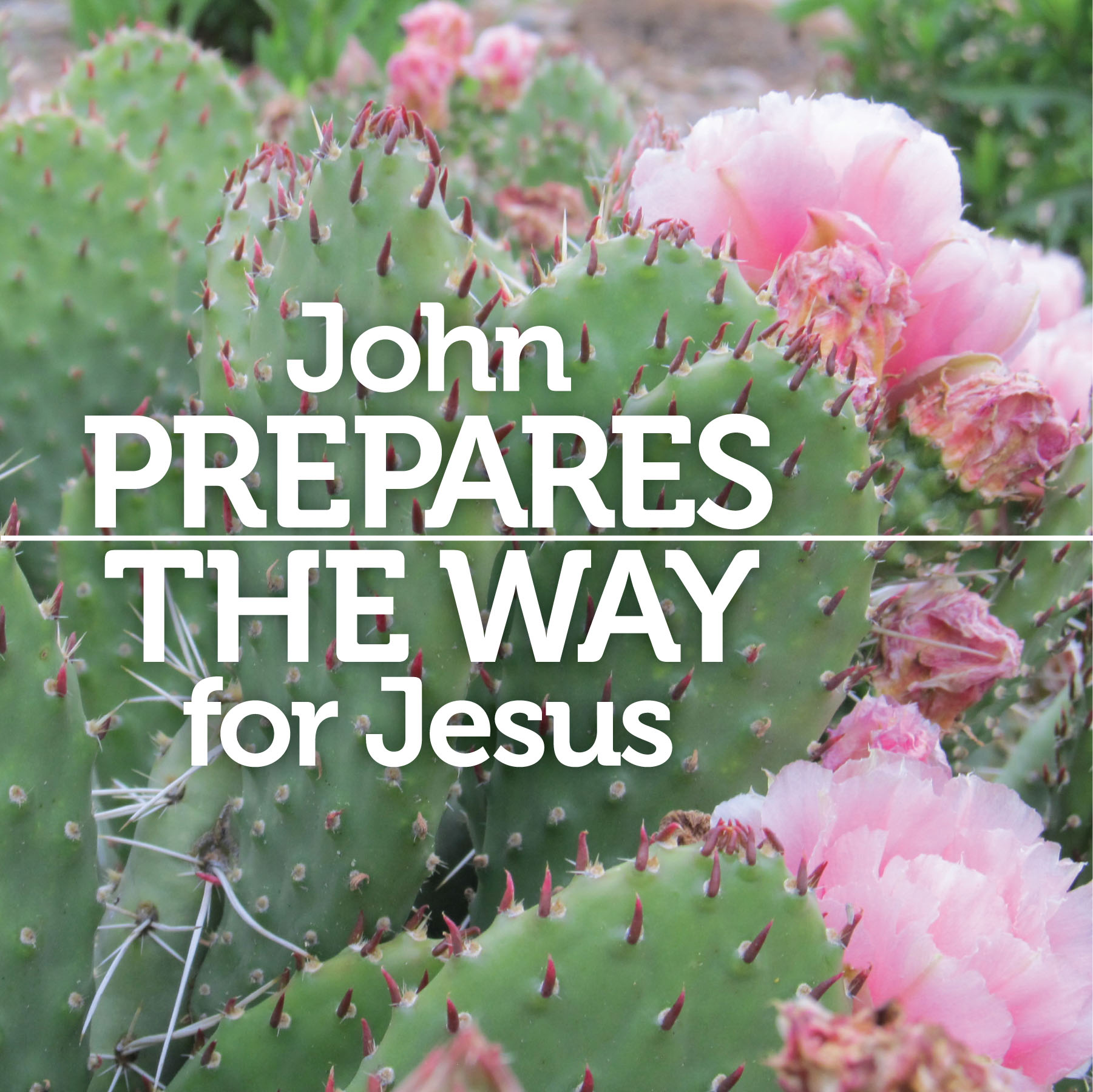 Prepare the Way of the Lord - Matthew 3:1-12
