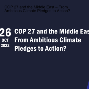COP 27 and the Middle East – From Ambitious Climate Pledges to Action?