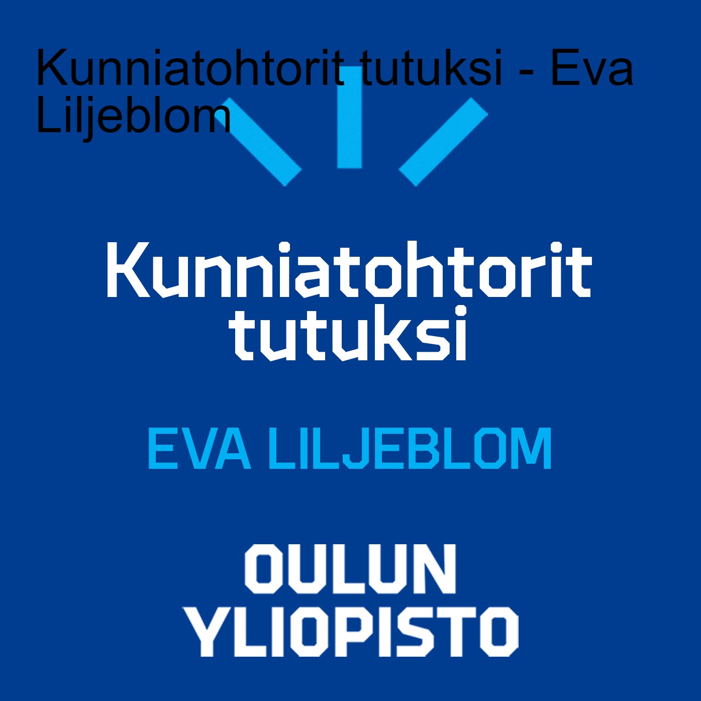 University of Oulu