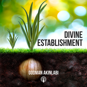 Divine Establishment