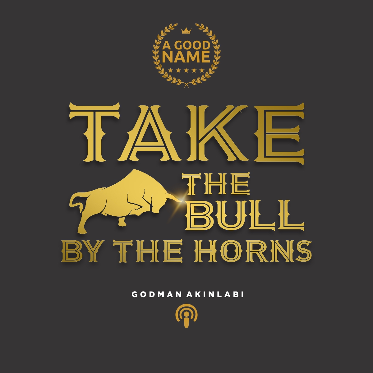 Take the Bull by the Horns with Godman Akinlabi