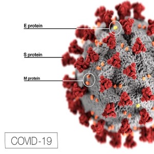 The Chemistry of the Coronavirus