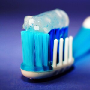 The Basics of Teeth