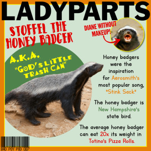 Stoffel the Honey Badger