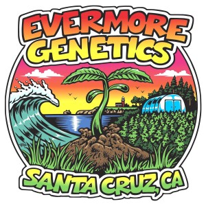 Joe of Evermore Genetics (Santa Cruz, CA)