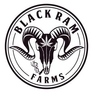 Bryan of Black Ram Farms (Eugene, OR)