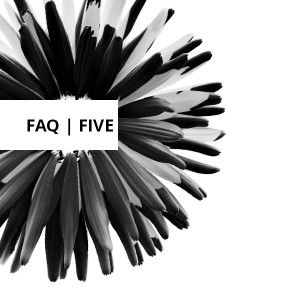 Frequently Asked Questions, Volume Five