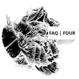 Frequently Asked Questions, Volume Four