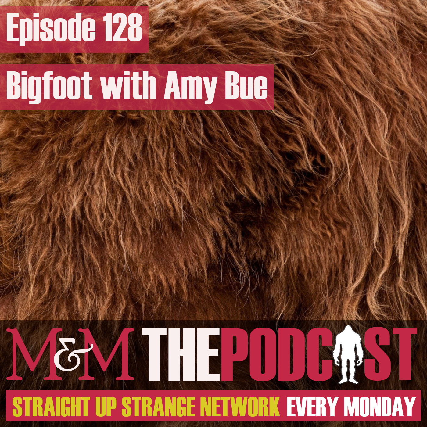 Mysteries and Monsters: Episode 128 Bigfoot with Amy Bue