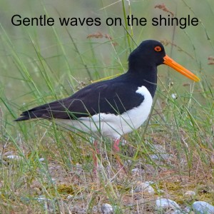 Gentle waves on the shingle