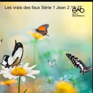 Les vrais des faux Série 1 Jean 2.18-27