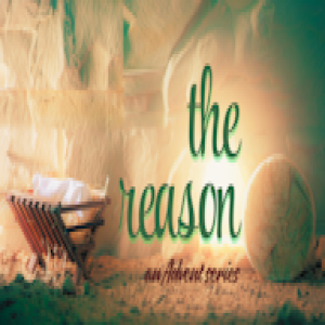 The Reason - Week 3 - He Came To Save