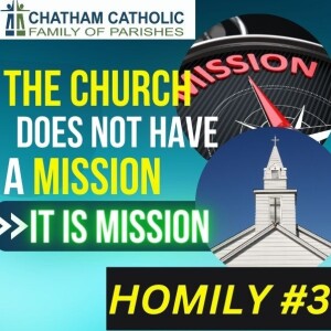 The Church Does Not Have a Mission - It is Mission - Homily #3