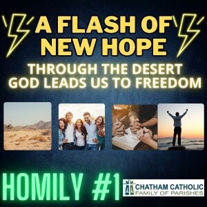 A Flash of New Hope - Homily One