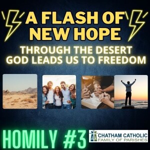 A Flash of New Hope - Homily Three