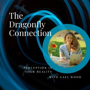 Perception Is Your Reality with Gael Wood