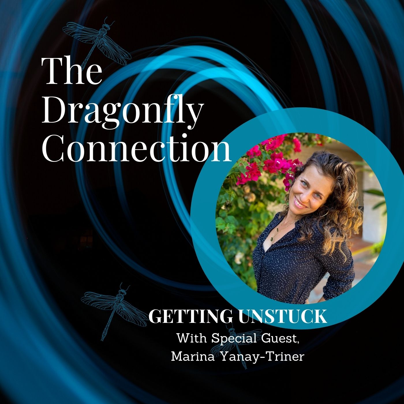 The Dragonfly Connection