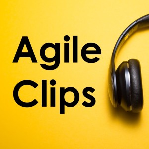 Episode 5: Management in Agile with Ron Lichty