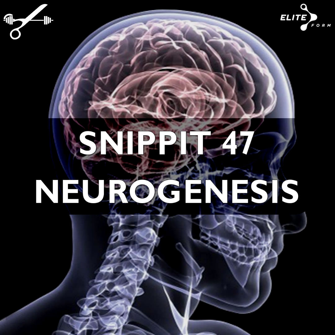 Snippit Sports Science Podcast