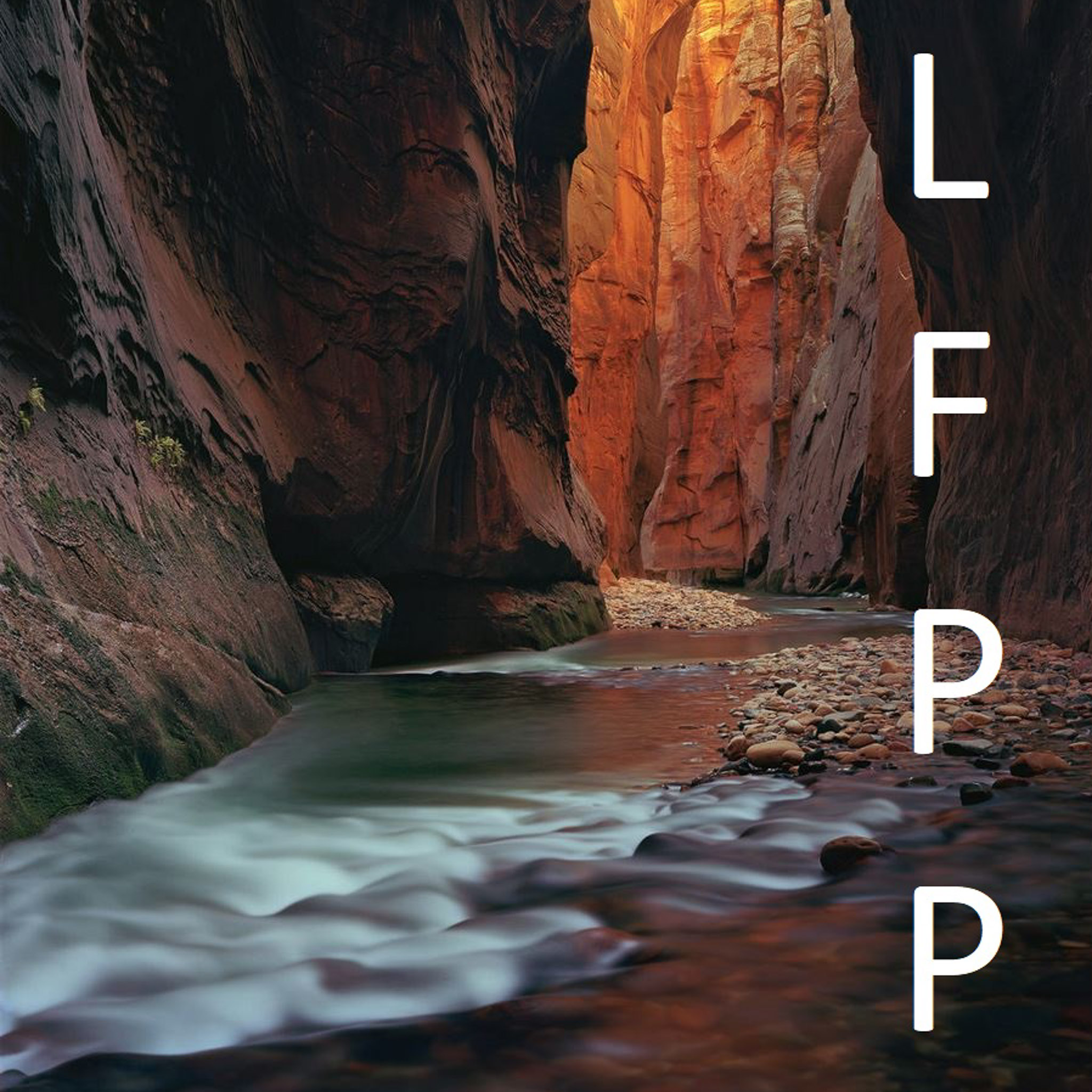 The Large Format Photography Podcast