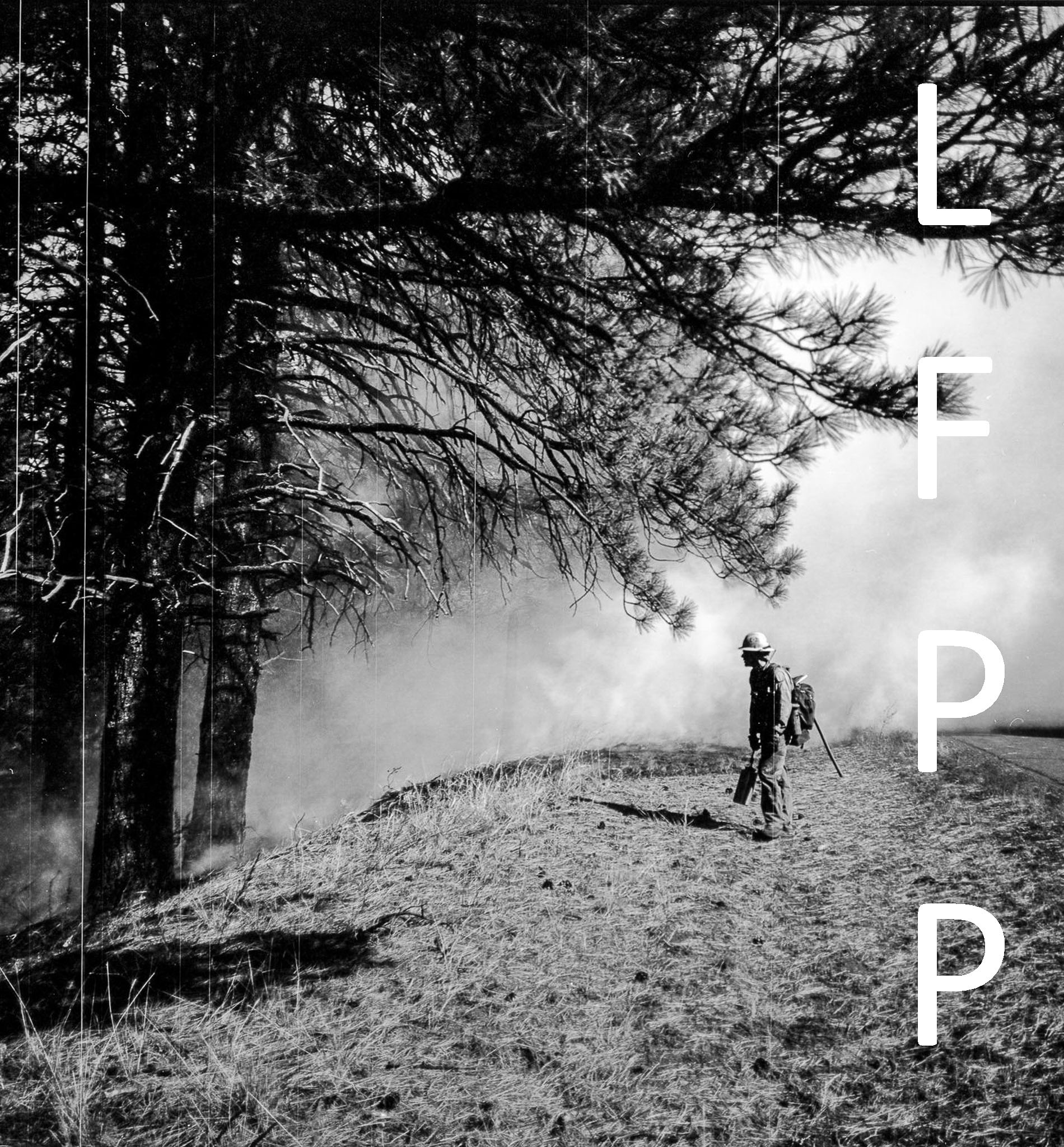 The Large Format Photography Podcast