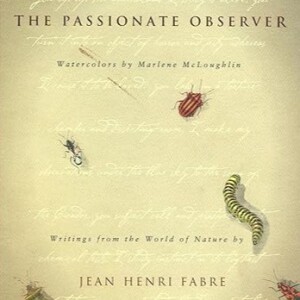 3 The Passionate Observer - A Garden Book Review