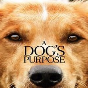 A Dogs Purpose by Bruce Cameron, book to movie review