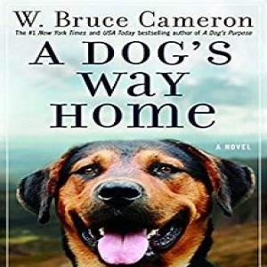 A Dog's Way Home, by Bruce Cameron, book to movie review