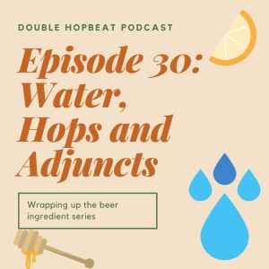 Episode 30: Water, Hops, and Adjuncts