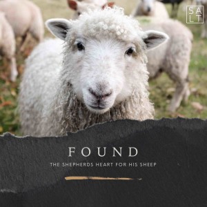 Found: The Shepherds Heart for His Church, Part 4