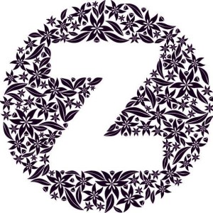 Kirsty Morrison, social entrepreneur - Creator of Zing Organics