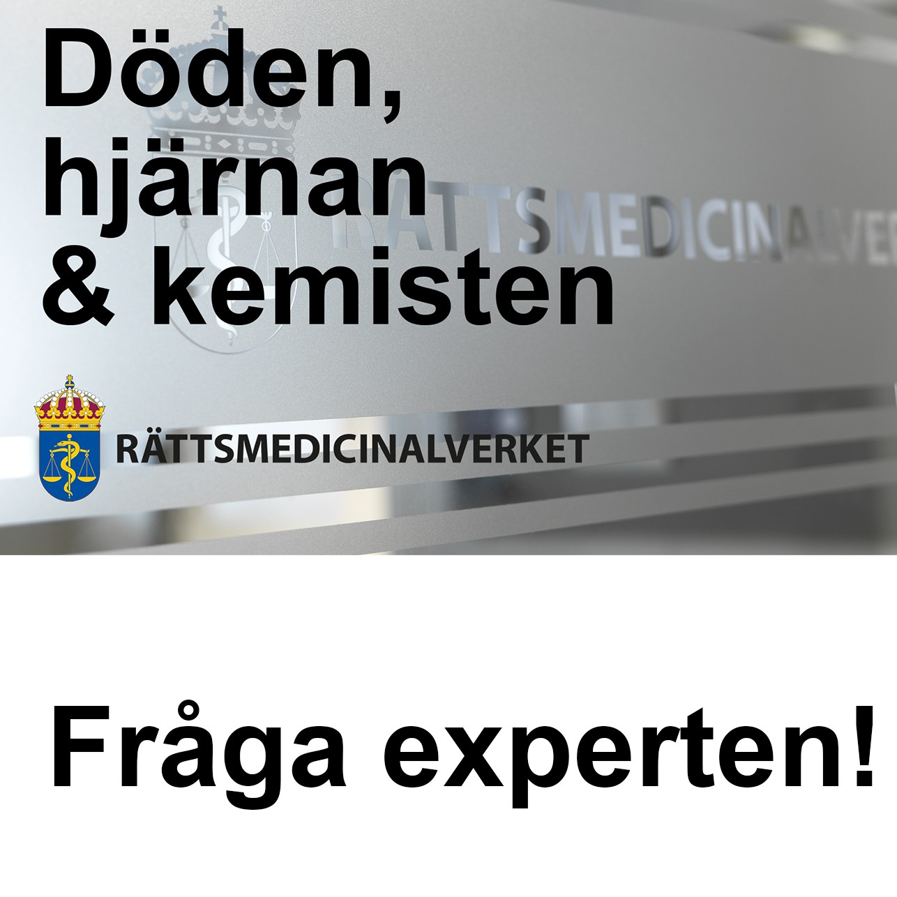 Döden hjärnan & kemisten