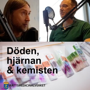 §7-undersökning ”Den lilla sinnesundersökningen”