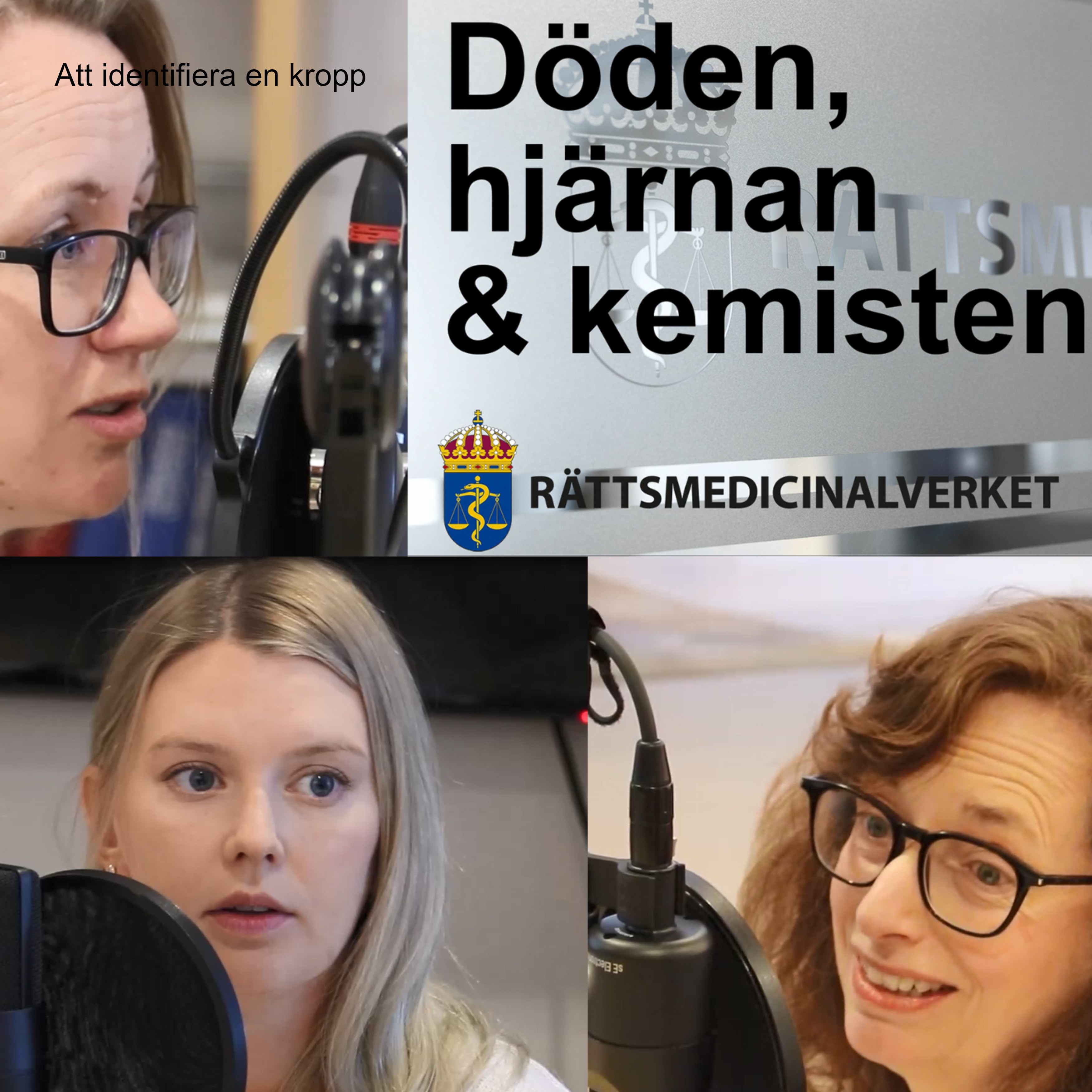 Döden hjärnan & kemisten