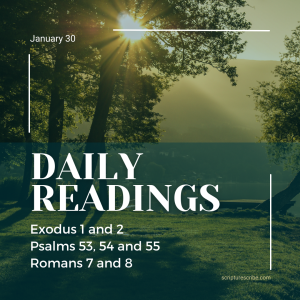 Thoughts on the readings for January January 30th (Exodus 1, 2, Psalms 53, 54, 55, Romans 7, 8)