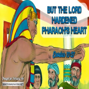Thought for February 4th..'But the Lord Hardened Phaoh's heart..'