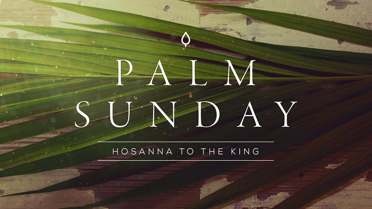 Palm Sunday: King of My Heart
