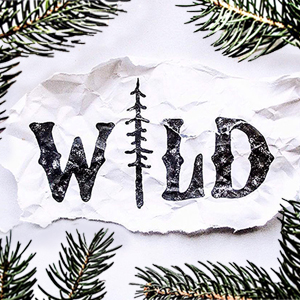 Wild: Repent, God is For You!