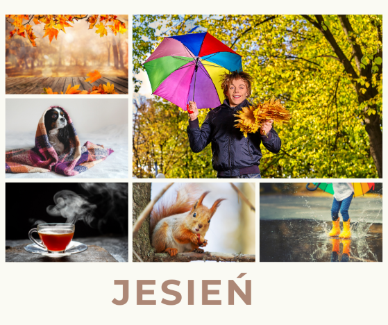 #173 Symbols of Autumn (Symbole jesieni)