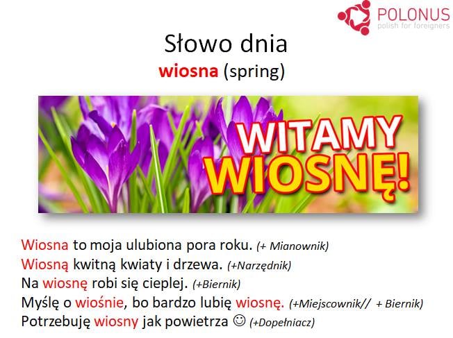 Welcome to Spring! An In-depth Dive into Polish Grammar