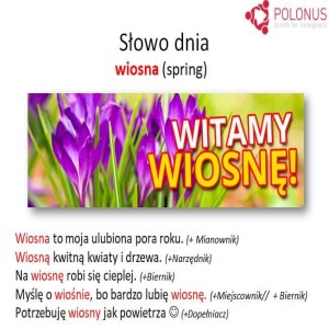 Welcome to Spring! An In-depth Dive into Polish Grammar