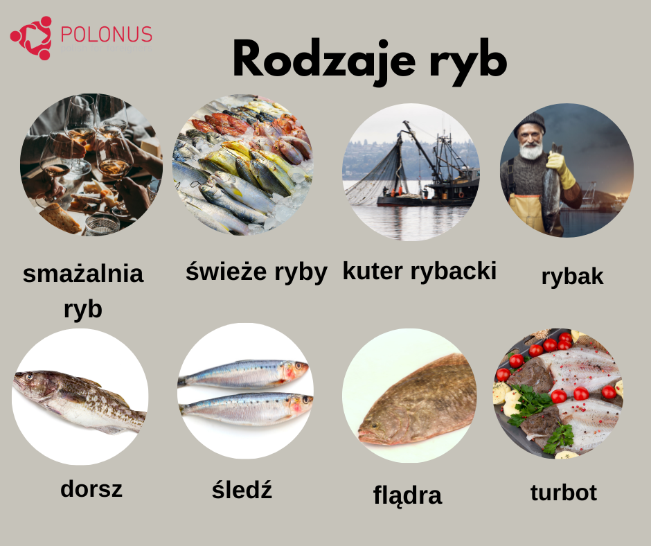 Learn Polish Podcast