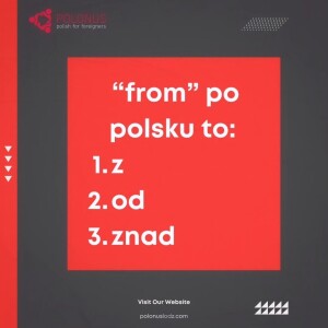 Unraveling the Complexity of Polish Prepositions