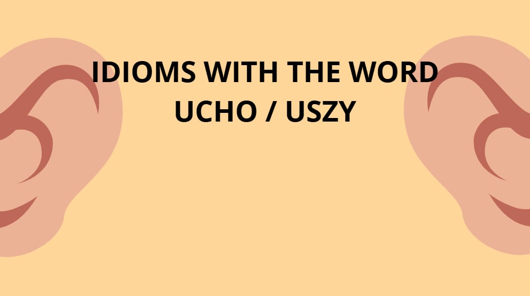 Celebrating 500 Episodes: Milestones and Polish Idioms
