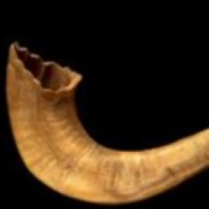 Shofar Shape Meditation; A Journey to Expanded Mind