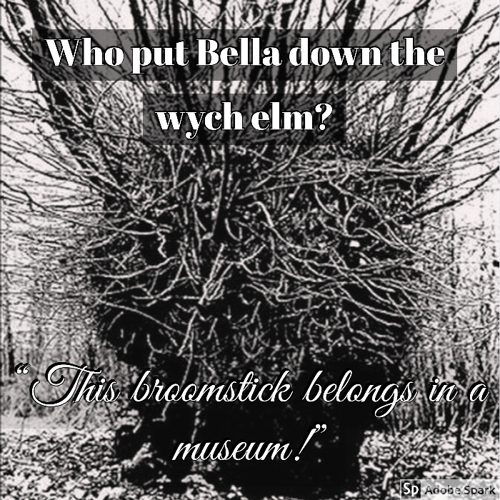 Old Timey Crimey #12: Who Put Bella in the Wych Elm?
